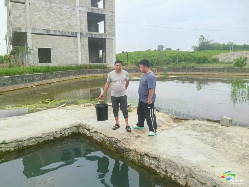 正大鎮(zhèn)盤塘村：開展防溺水安全巡查