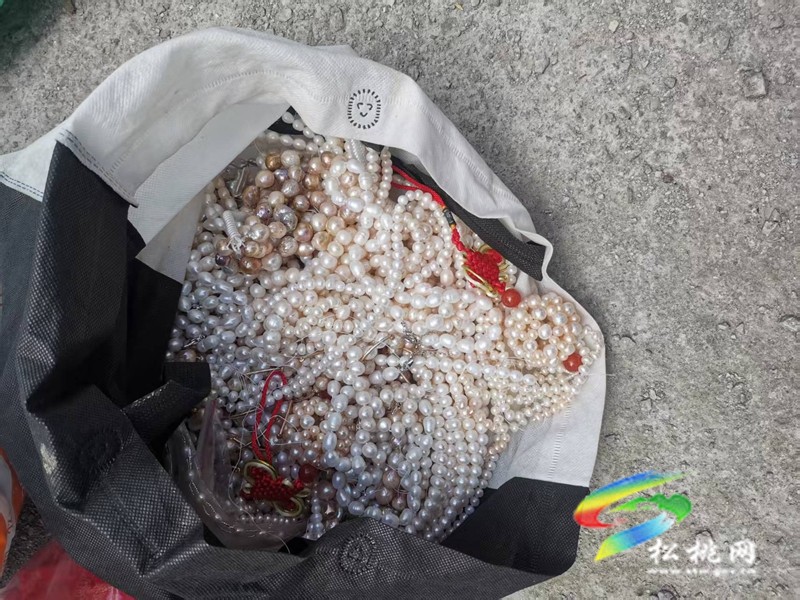 黃板鎮(zhèn)：養(yǎng)殖珍珠蚌 助力鄉(xiāng)村全面振興