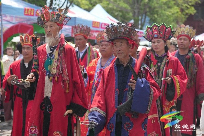 八方賓朋聚苗城 歌舞歡度“四月八”