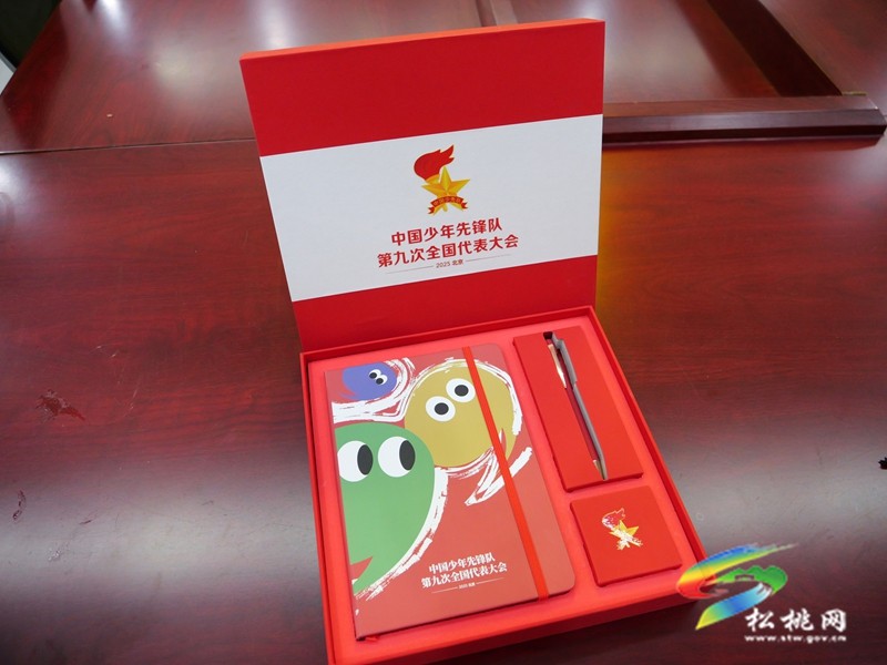 從校園走向全國舞臺：全市唯一少代會代表的成長與擔當