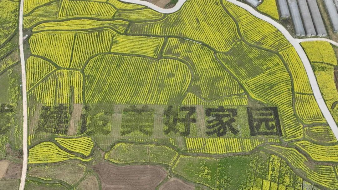 普覺(jué)鎮(zhèn)：新農(nóng)人引領(lǐng)創(chuàng)新致富路