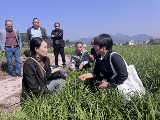 普覺(jué)鎮(zhèn)：新農(nóng)人引領(lǐng)創(chuàng)新致富路