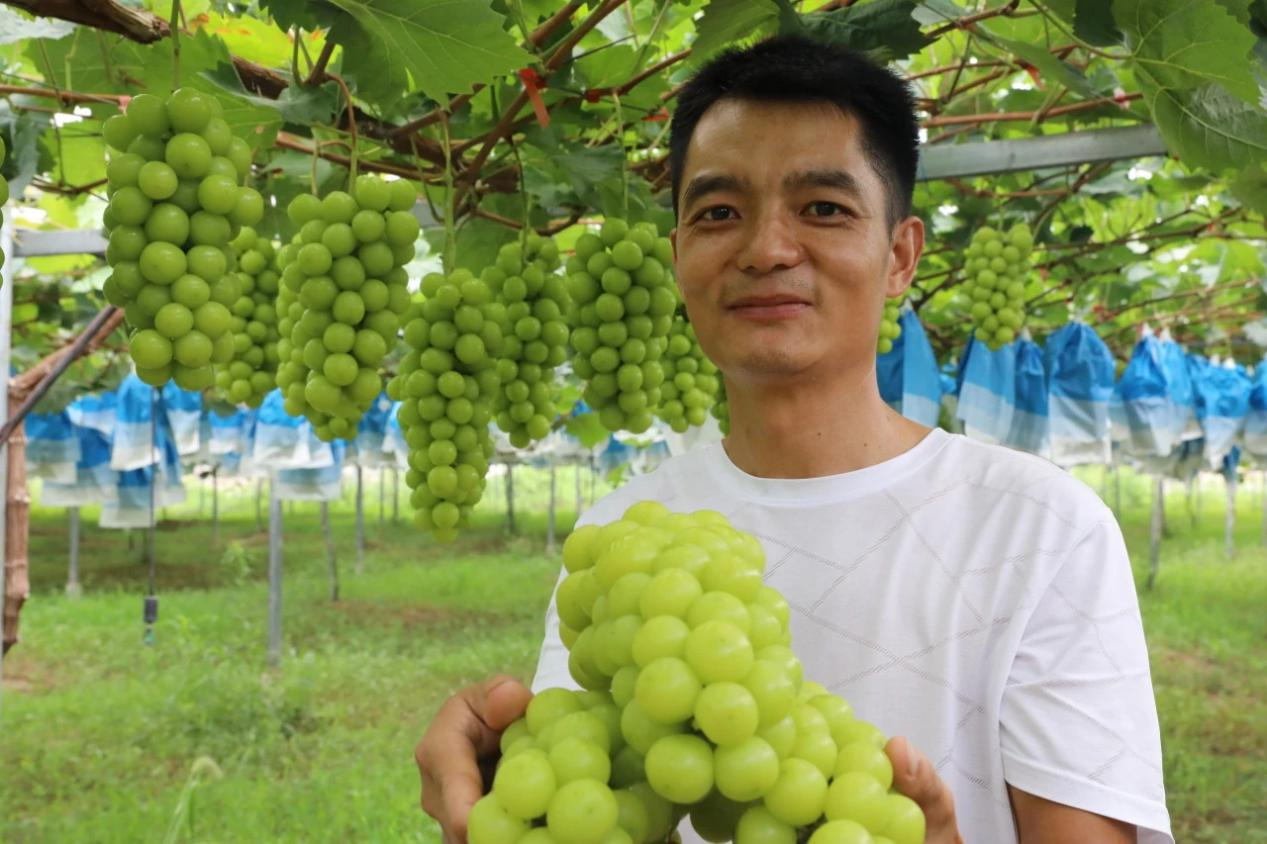 普覺(jué)鎮(zhèn)：新農(nóng)人引領(lǐng)創(chuàng)新致富路