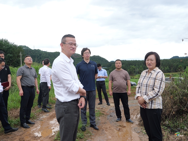 中國電子集團(tuán)黨組副書記、董事陳揚(yáng)帆一行來松調(diào)研