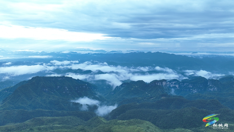 松桃瓦溪鄉(xiāng)：群山秘境育高山白菜