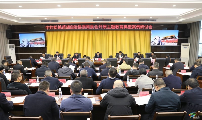 縣委常委會開展主題教育典型案例研討會