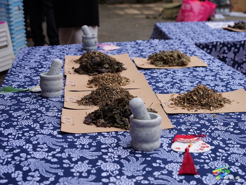 松桃:婦聯(lián)情暖大灣村 愛心續(xù)寫孝慈新篇
