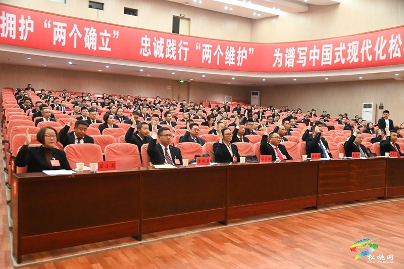 中共松桃苗族自治縣委十四屆九次全會暨縣委經濟工作會議舉行