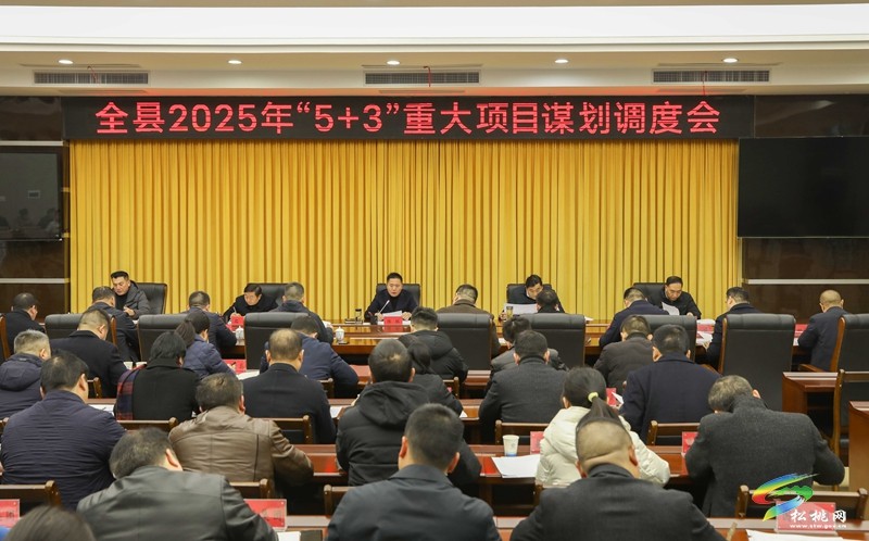 陳琪主持召開全縣2025年“5+3”重大項(xiàng)目謀劃調(diào)度會(huì)