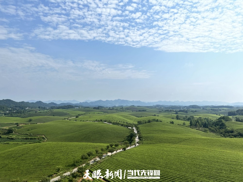 《貴州日報》刊登乾興平署名文章：走好新時代的長征路 寫好中國式現(xiàn)代化貴州篇章｜紀念遵義會議召開90周年