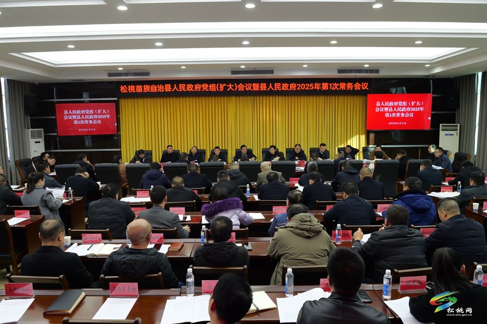 縣人民政府黨組（擴(kuò)大）會(huì)議暨縣人民政府2025年第1次常務(wù)會(huì)議召開(kāi)