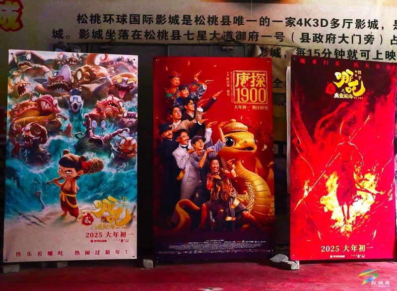 【網(wǎng)絡(luò)中國節(jié)·春節(jié)】電影院“人從眾” 春節(jié)檔點(diǎn)燃文化消費(fèi)熱潮