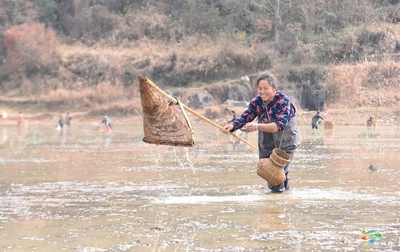 【網(wǎng)絡中國節(jié)·春節(jié)】松桃：傳統(tǒng)捕魚活動歡慶新春佳節(jié)