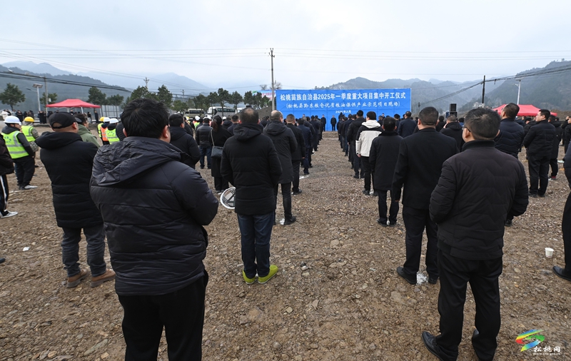 全縣2025年一季度重大項目集中開工儀式舉行