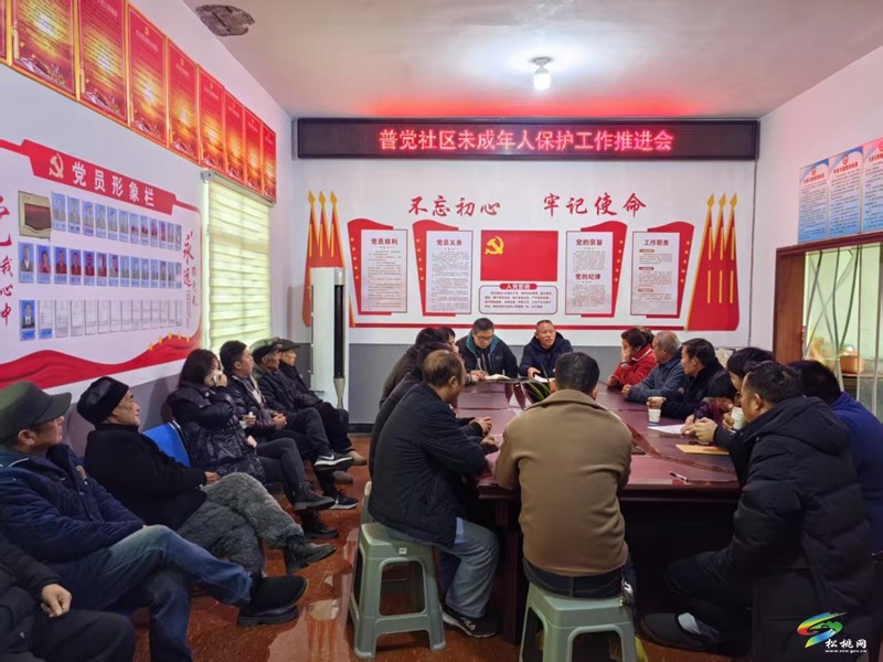 【未成年人保護(hù)】普覺鎮(zhèn)普覺社區(qū)召開未成年人保護(hù)工作推進(jìn)會