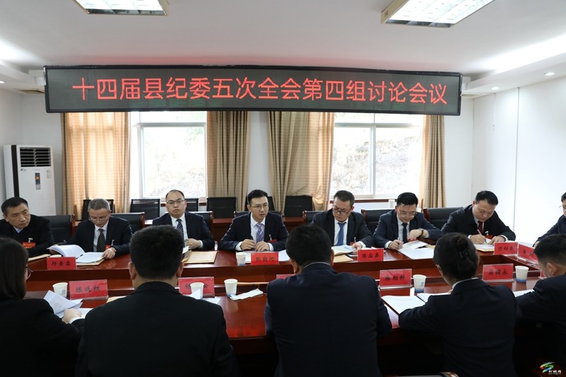 十四屆縣紀(jì)委五次全體會議進(jìn)行分組討論