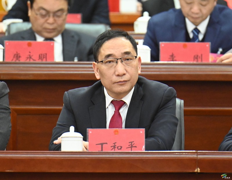 縣十七屆人大四次會議舉行第二次全體會議