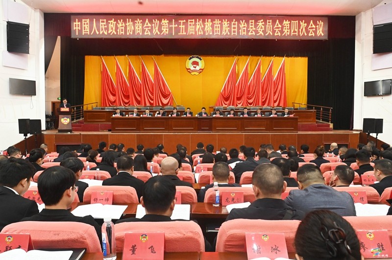 縣政協(xié)十五屆四次會(huì)議舉行第二次全體會(huì)議暨委員大會(huì)發(fā)言會(huì)
