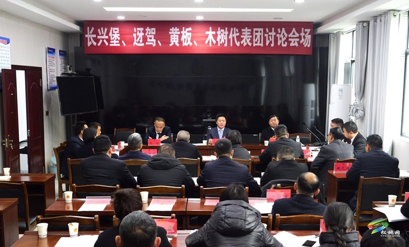 陳琪參加長興堡、迓駕、黃板、木樹代表團審議