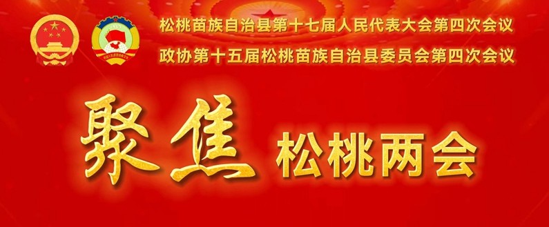 陳琪參加長興堡、迓駕、黃板、木樹代表團審議