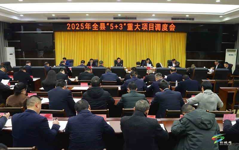 陳琪主持召開2025年全縣“5+3”重大項(xiàng)目調(diào)度會(huì)