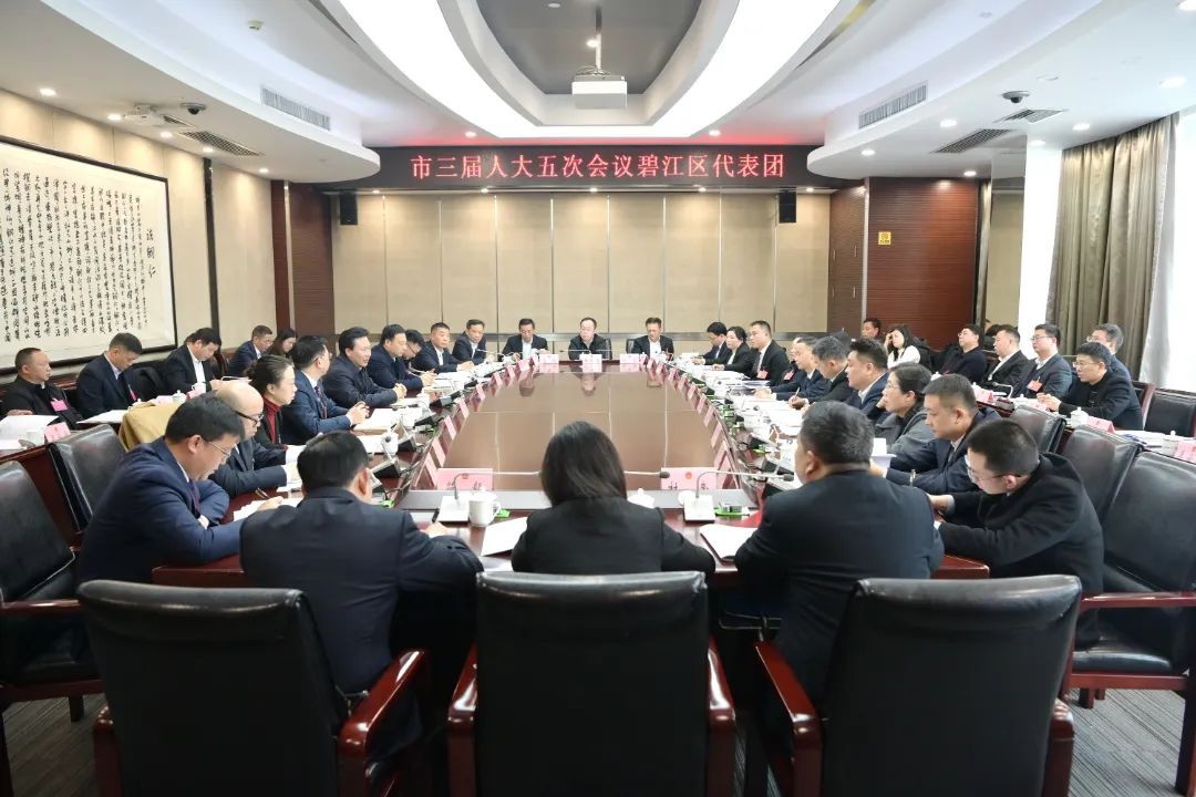 穆嶸坤參加碧江區(qū)、松桃自治縣代表團審議