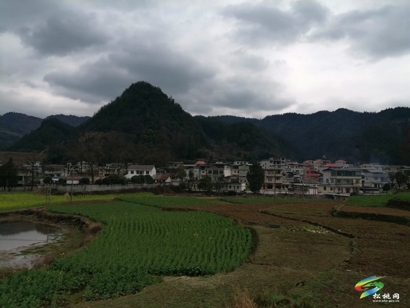 普覺(jué)鎮(zhèn)水銀村積極探索衛(wèi)生管理新模式