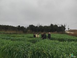 科技特派員組團下沉一線  早春賦能生態(tài)畜牧業(yè)——需求精準對接  田間示范加速良種技術(shù)落地