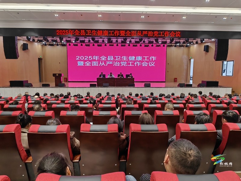 2025年全縣衛(wèi)生健康工作暨全面從嚴治黨工作會議召開