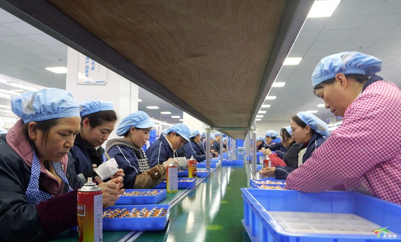 松桃：返崗就業(yè)熱潮涌  企業(yè)生產(chǎn)加工忙