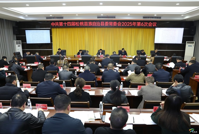 縣委常委會(huì)2025年第6次會(huì)議召開