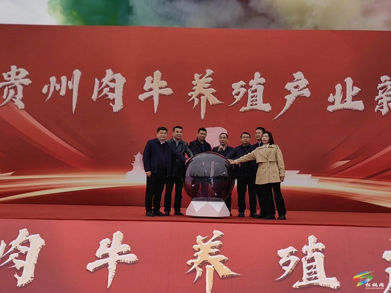 松桃大路后硐村肉牛養(yǎng)殖示范基地建設項目開工