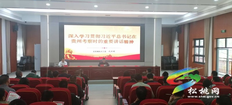松桃：縣委宣講團分赴各鄉(xiāng)鎮(zhèn)（街道）宣講習近平總書記在貴州考察時的重要講話精神
