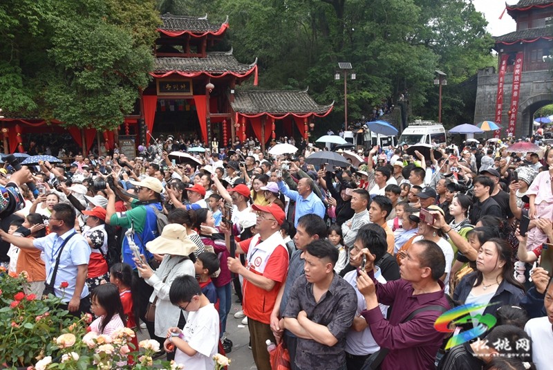 八方賓朋聚苗城 歌舞歡度“四月八”