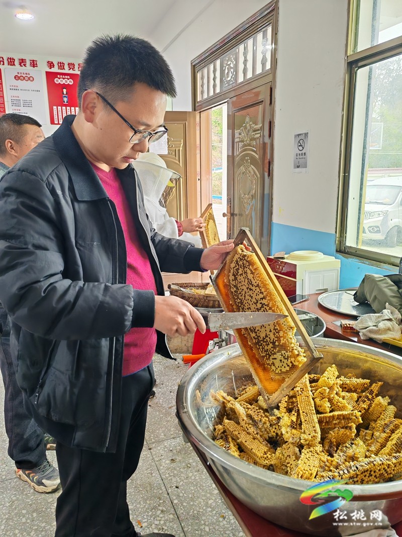 甘龍鎮(zhèn)大樹村：依托生態(tài)優(yōu)勢??發(fā)展蜂蜜產(chǎn)業(yè)