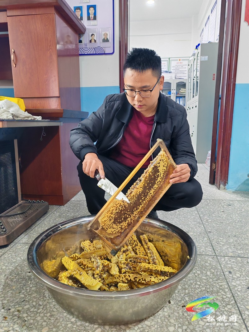 甘龍鎮(zhèn)大樹村：依托生態(tài)優(yōu)勢??發(fā)展蜂蜜產(chǎn)業(yè)