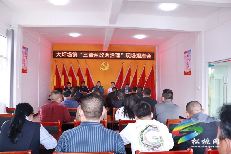 大坪場鎮(zhèn)開展“三清兩改兩治理”現(xiàn)場觀摩會