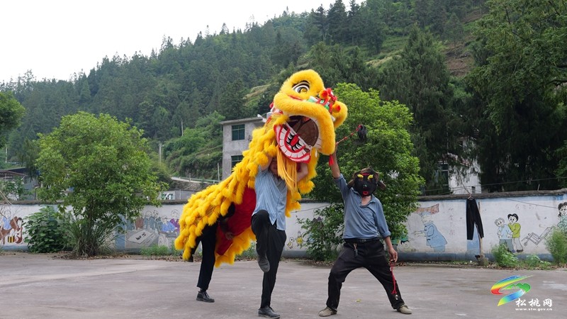 六旬老人陳應(yīng)貴：“舞”出別樣“獅”生