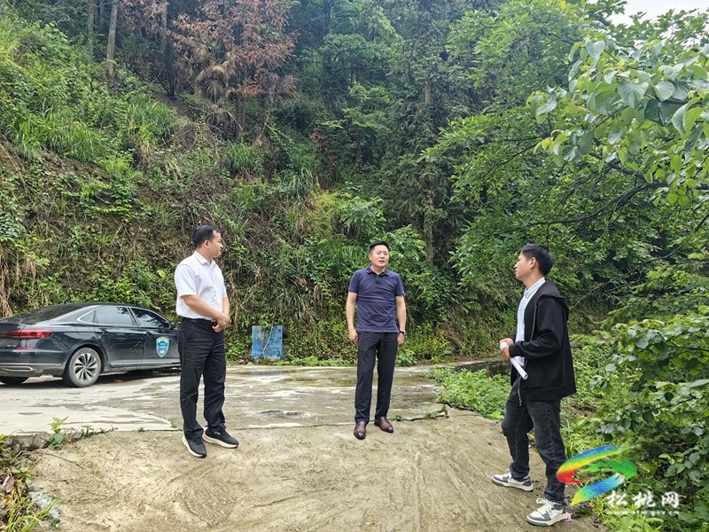 陳琪到冷水溪鎮(zhèn)調(diào)研督導(dǎo)地質(zhì)災(zāi)害防治工作