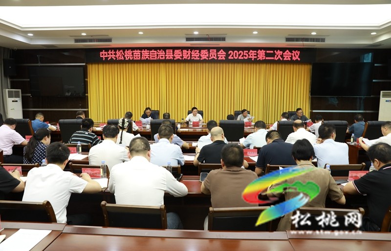 縣委財(cái)經(jīng)委員會(huì)2025年第二次會(huì)議召開(kāi)