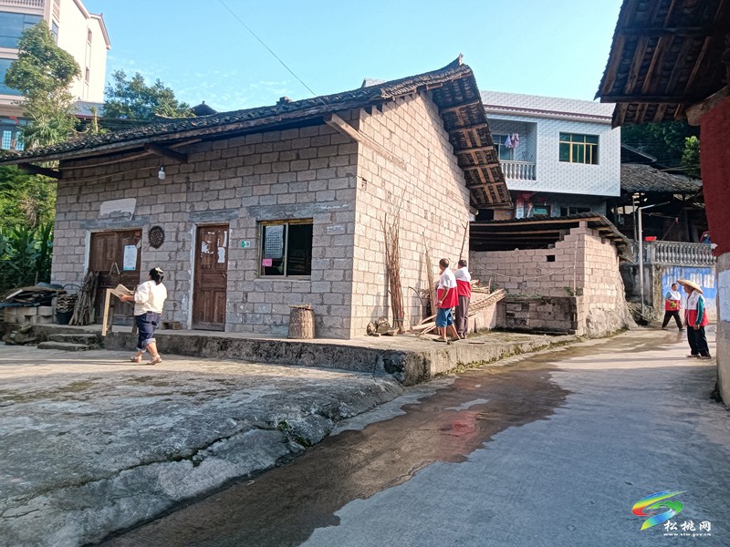 平頭鎮(zhèn)冷水溪村開展“美化凈化家園”志愿服務(wù)活動(dòng)