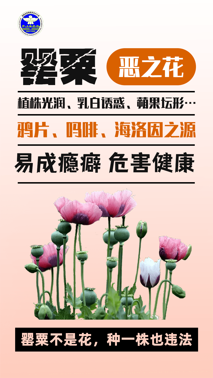 警惕“毒”物！記住這些防毒關(guān)鍵詞
