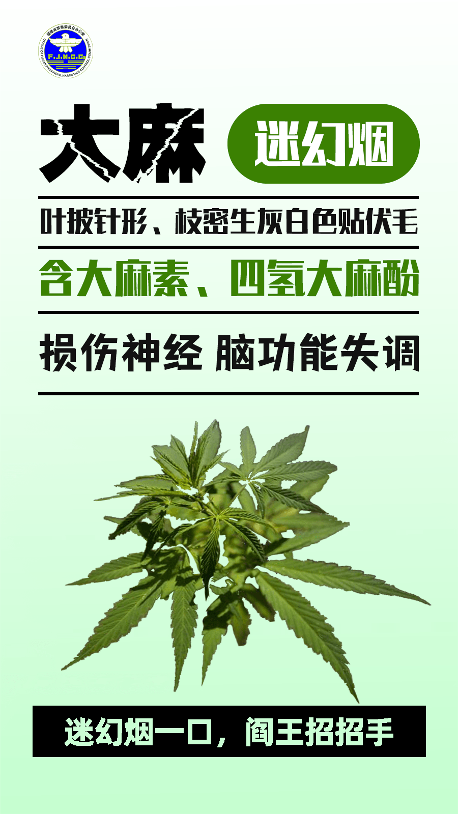 警惕“毒”物！記住這些防毒關(guān)鍵詞