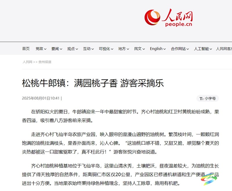 【成績單來了！】松桃2025年8月份對外宣傳成績單