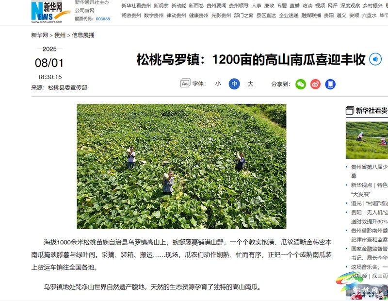 【成績單來了！】松桃2025年8月份對外宣傳成績單