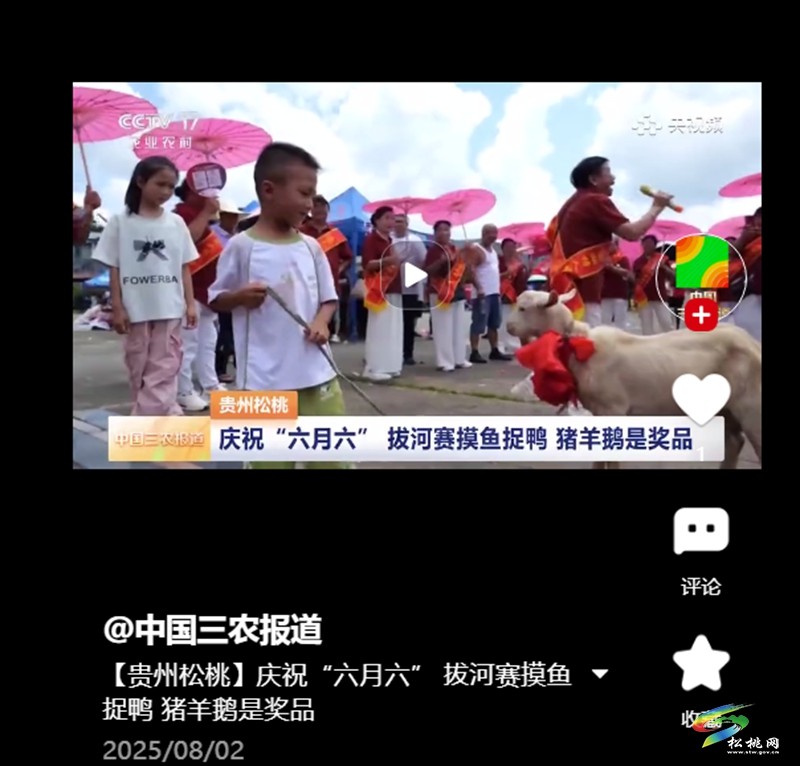 【成績單來了！】松桃2025年8月份對外宣傳成績單