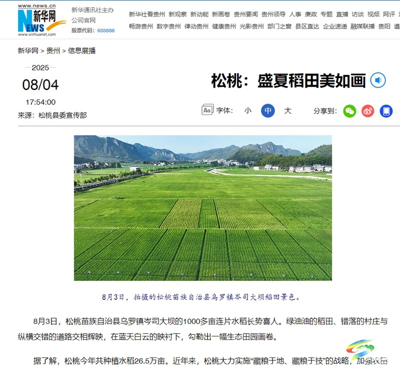 【成績單來了！】松桃2025年8月份對外宣傳成績單