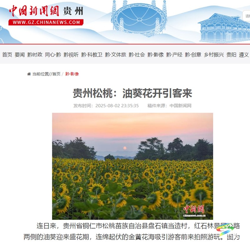 【成績單來了！】松桃2025年8月份對外宣傳成績單