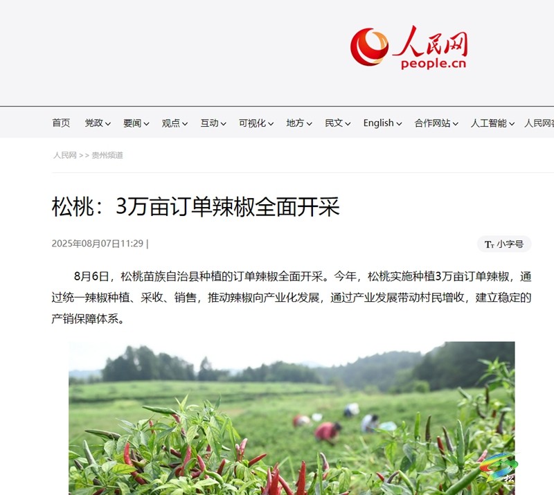 【成績單來了！】松桃2025年8月份對外宣傳成績單