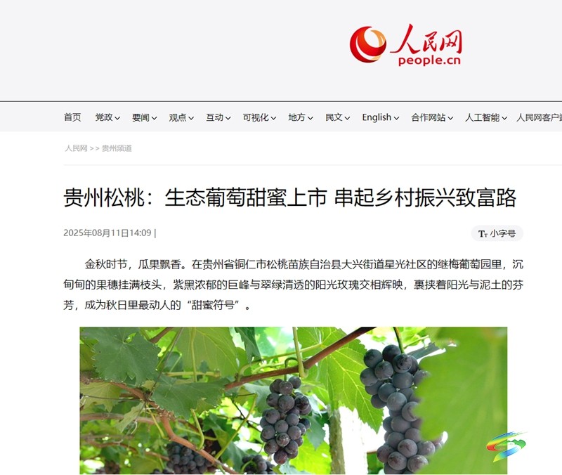 【成績單來了！】松桃2025年8月份對外宣傳成績單